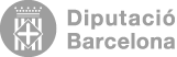Diputaci&oacute; de Barcelona