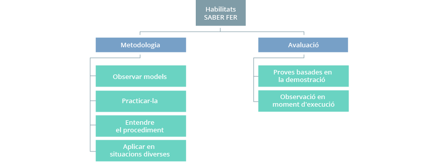 Ensenyament i aprenentatge d'habilitats